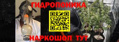 PSILOCYBIN Бугуруслан