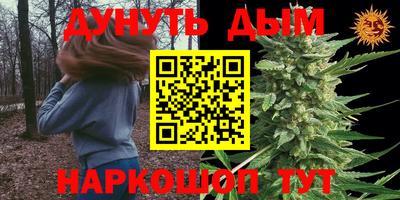 PSILOCYBIN Бугуруслан